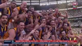 2015 AFL Grand Final Hawks V Eagles Fox Footy Post Game [upl. by Hnahk]