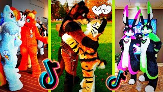 Furry Memes  Dino Mask TikToks Compilation [upl. by Roda]