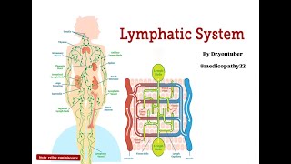 Lymphatic system  Introduction  Function DisordersTreatmentprecaution [upl. by Sugden]