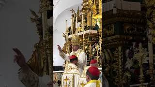 Palmarian Holy Week His Holiness Pope Peter III [upl. by Nylzzaj]