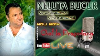 NELUTA BUCUR  Sac sac dusmanilor  Sarba instrumental live audio [upl. by Eserahs]