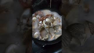 Rebus kerang lautshortvideo kerangairlautseafood [upl. by Atterahs]