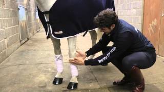 Looking after your horses legs – Charlie Hutton [upl. by Ruprecht]