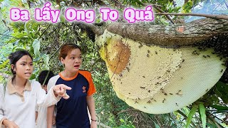 Ba Lấy Ong Mật Trong Lu Tổ Ong To Quá trangandvinhtv [upl. by Norford]