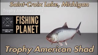 Fishing Planet Trophy American Shad SaintCroix Lake Michigan [upl. by Anawaj]