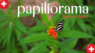 Bad weather idea in Switzerland  Papiliorama Kerzers [upl. by Refinnaej]