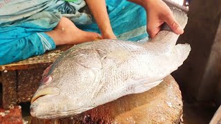 Big Balck Coral Fish Cutting In Bangladesh Fish Market  Fish Cutting Skills [upl. by Eilrahs]