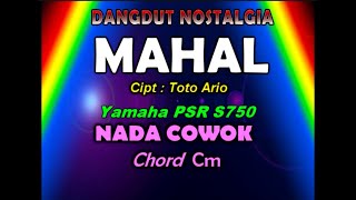 Mahal  Karaoke Lirik  Meggy Z Nada Cowok [upl. by Cecilia]