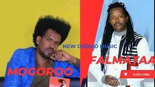 Mogoroo amp Falmata New Ethiopian Oromo Music 2024 [upl. by Narhet902]