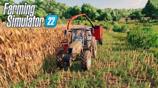 REI DO ALAMBIQUE FIZEMOS A SILAGEM DO MILHO FARMING SIMULATOR 22 [upl. by Mya798]