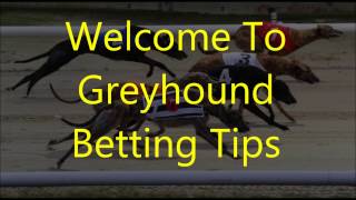 Greyhound Racing Betting Tips 5 [upl. by Enitsud]