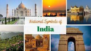 National symbols of India Indian national symbols National symbol of India in English [upl. by Olwena626]