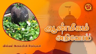 ஆன்மிகம் அறிவோம்  வில்வம் இலையின் சிறப்புக்கள்  10122024 [upl. by Sivolc]