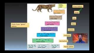 Taxonomy Phylogeny and Systematics [upl. by Sybila213]