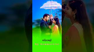 ସେଇ ଛୁଟଘରେ ତୁମ ସାଥିରେ Sei Chhutaghare Tuma Sathire  Odia Old Albums Song  Love Filling YouTube [upl. by Ahsia950]