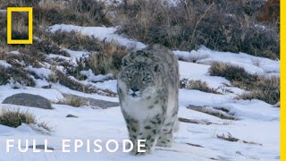 Mountains Full Episode  Hostile Planet [upl. by Hansiain]