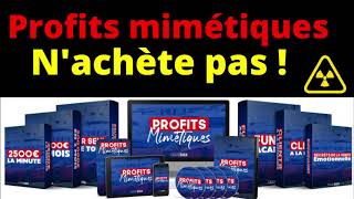 Avis Profits Mimétiques  nachète pas Tugan Bara [upl. by Nwahser817]