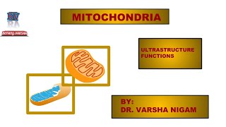 ULTRASTRUCTURE AND FUNCTIONS OF MITOCHONDRIA  CELL BIOLOGY  BY DR VARSHA NIGAM [upl. by Iretak]