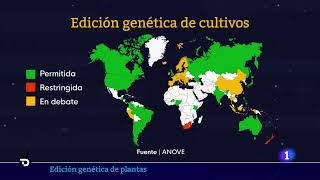 Edición genética en plantas para mejorar los cultivos [upl. by Tucker]