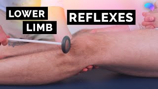 Reflexes of the Lower Limbs  OSCE Clip  UKMLA  CPSA [upl. by Cindy]