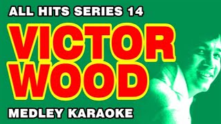 VICTOR WOOD  All Hits Series 14 MEDLEY KARAOKE Fraulein A Tear Fell Greenfields amp More [upl. by Nyroc893]