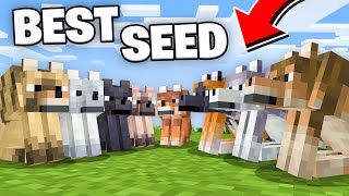 The PERFECT Seed For Minecraft 121 All New Wolf Variants at Spawn [upl. by Ardnuaek226]