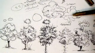 Pen amp Ink Drawing Tutorials  How to draw trees [upl. by Saref160]