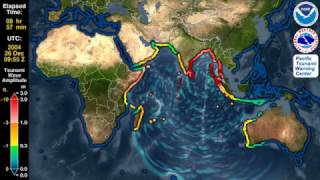 Цунами Высота волны цунами 2004 в Индийском океане [upl. by Sklar906]