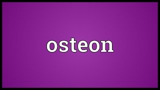 Osteon Meaning [upl. by Renee]