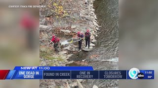 Body found under bridge in Ithaca [upl. by Airdnalahs]