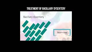 Treatment of bacillary dysentery bacillus dysentery [upl. by Ierdna740]