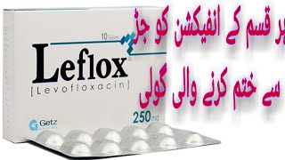 Leflox 250  500 mg tablet uses in Urdu  Levofloxacin benefits and side effects in urdu  hindi [upl. by Aicirtel63]