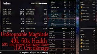 Unstoppable 50k Health Magblade Brawler PvP [upl. by Revart]