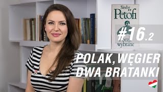 Węgierska randka 162  Polak Węgier  dwa bratanki 22 [upl. by Eittap]