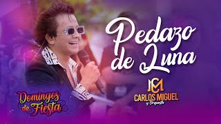 CARLOS MIGUEL Pedazo de Luna Domingos de Fiesta [upl. by Franciska]