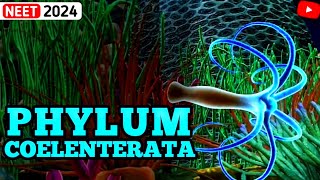 NonChordates PHYLUM COELENTERATA  Animal Kingdom  3D ANIMATION [upl. by Hsirahc]