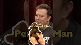 Elon Defending Pets and Freedom [upl. by Cardinal]