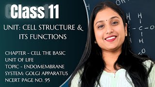 CLASS 11  CH8 CELL  GOLGI APPARATUS  NCERT PG 95  BY DIKSHA MAAM  NEET [upl. by Emmott]