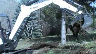 Bobcat E42 Excavator Pulling Stumps [upl. by Alemrac]