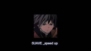 SUAVE tiktok remix speed up [upl. by Nasia]