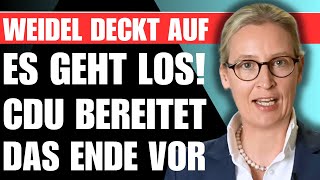 Weidels DÜSTERE WARNUNG 🚨 quotBald ist es zu spätquot Die CDU bereitet gerade DAS ENDE vor [upl. by Pass]