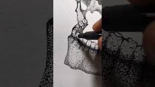 Drawing a Head Skeleton with Pen ytshorts shorts viralvideo [upl. by Lanita]