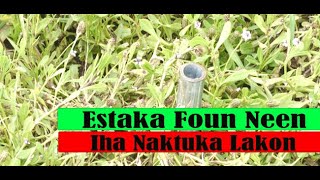 Estaka Foun Neen Iha Naktuka Lakon Ona [upl. by Nuahsyar250]