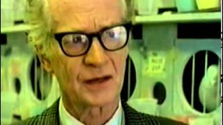 Dr BF Skinner and Operant Conditioning [upl. by Carlotta]