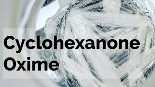 Cyclohexanone Oxime Organic Synthesis [upl. by Im295]