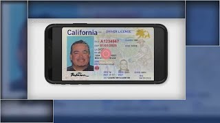 How mobile drivers license tech could be used by Bay Area businesses [upl. by Aicila785]