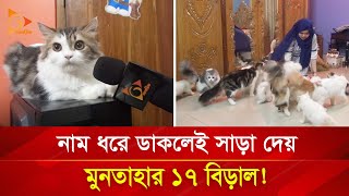 নাম ধরে ডাকলেই সাড়া দেয় মুনতাহার ১৭ বিড়াল  Nagorik TV Special [upl. by Aihsein240]