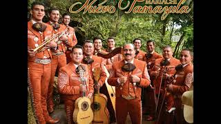 Mariachi Nuevo Tamazula10Cd Completo [upl. by Shaeffer]