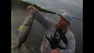 Snook Fishing Wabasso Fl [upl. by Arral]