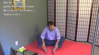 Best Groin Stretches  Video 3 of 3 [upl. by Karole]